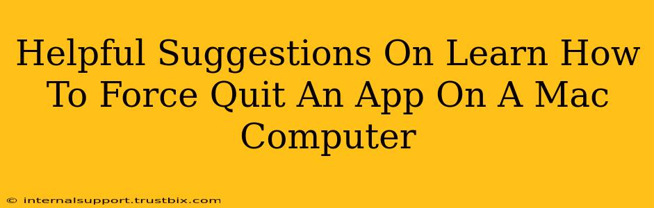 Helpful Suggestions On Learn How To Force Quit An App On A Mac Computer