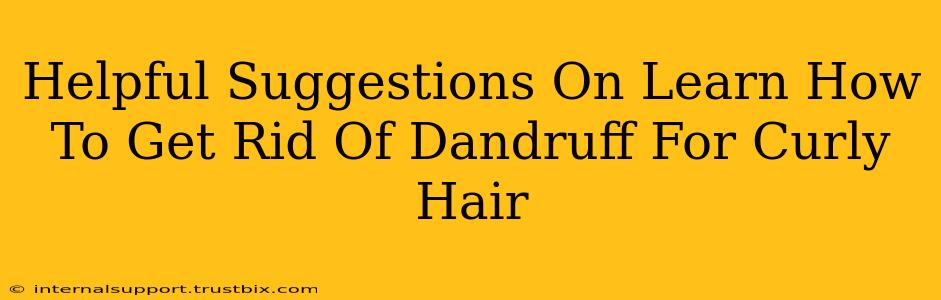 Helpful Suggestions On Learn How To Get Rid Of Dandruff For Curly Hair