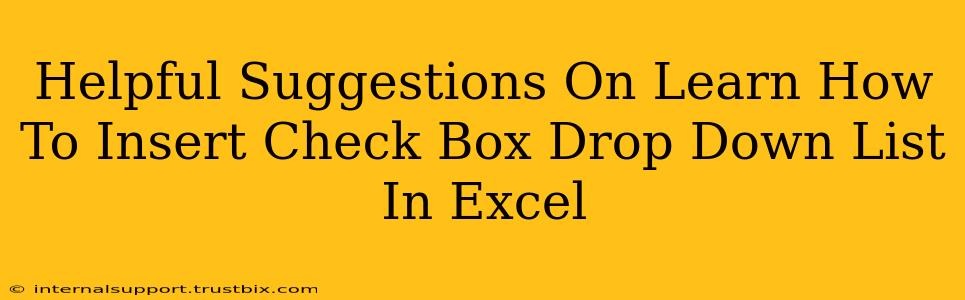 Helpful Suggestions On Learn How To Insert Check Box Drop Down List In Excel