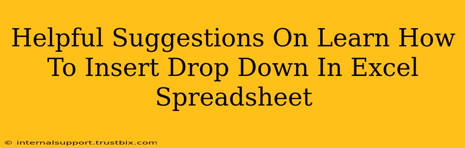 Helpful Suggestions On Learn How To Insert Drop Down In Excel Spreadsheet