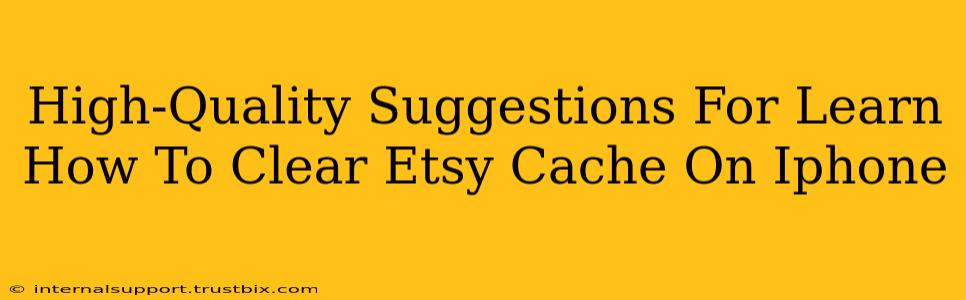 High-Quality Suggestions For Learn How To Clear Etsy Cache On Iphone