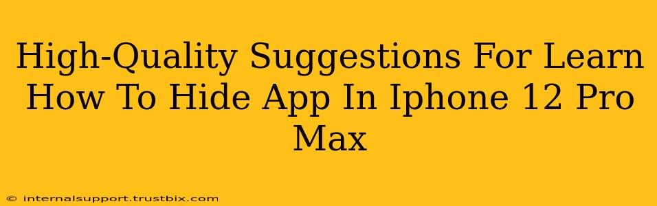 High-Quality Suggestions For Learn How To Hide App In Iphone 12 Pro Max