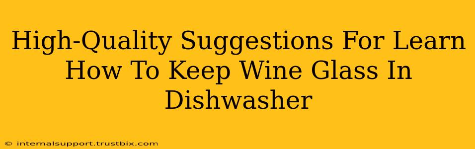 High-Quality Suggestions For Learn How To Keep Wine Glass In Dishwasher