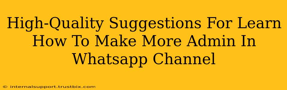 High-Quality Suggestions For Learn How To Make More Admin In Whatsapp Channel