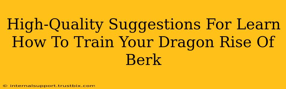 High-Quality Suggestions For Learn How To Train Your Dragon Rise Of Berk