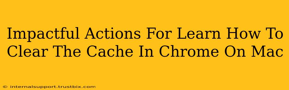 Impactful Actions For Learn How To Clear The Cache In Chrome On Mac