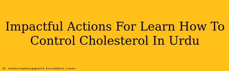 Impactful Actions For Learn How To Control Cholesterol In Urdu