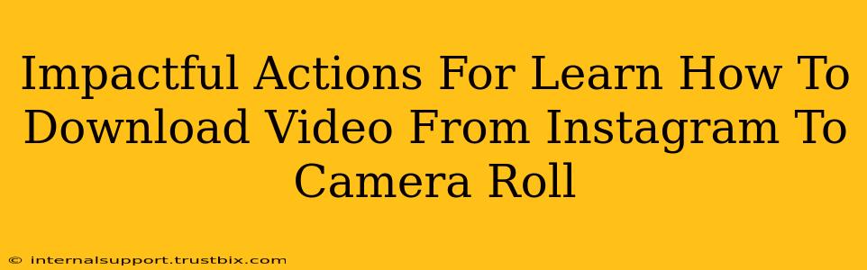 Impactful Actions For Learn How To Download Video From Instagram To Camera Roll