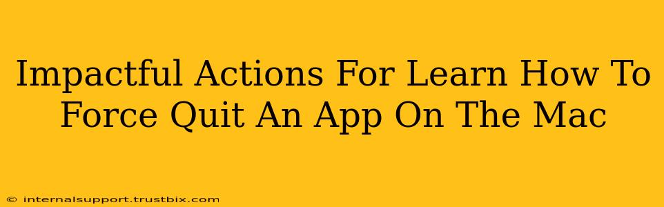 Impactful Actions For Learn How To Force Quit An App On The Mac