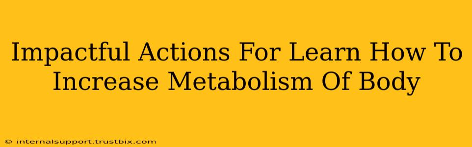 Impactful Actions For Learn How To Increase Metabolism Of Body