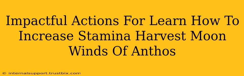 Impactful Actions For Learn How To Increase Stamina Harvest Moon Winds Of Anthos