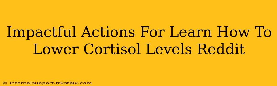 Impactful Actions For Learn How To Lower Cortisol Levels Reddit