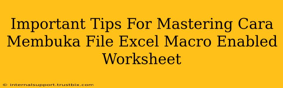 Important Tips For Mastering Cara Membuka File Excel Macro Enabled Worksheet