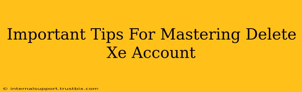 Important Tips For Mastering Delete Xe Account