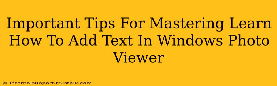 Important Tips For Mastering Learn How To Add Text In Windows Photo Viewer