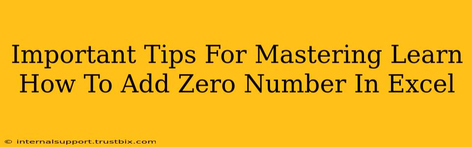 Important Tips For Mastering Learn How To Add Zero Number In Excel