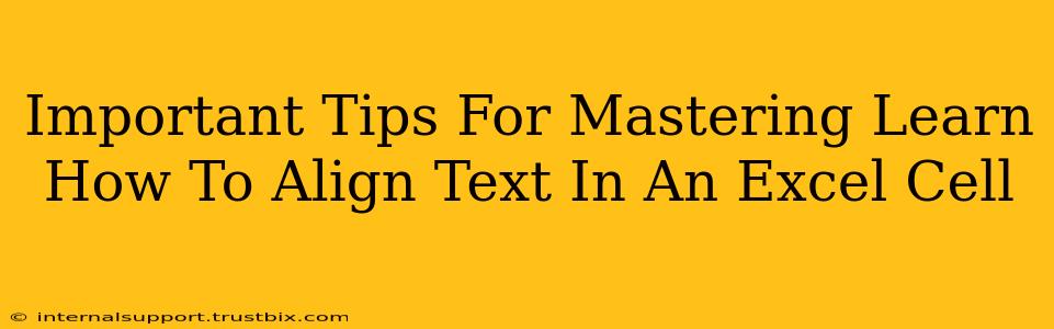 Important Tips For Mastering Learn How To Align Text In An Excel Cell