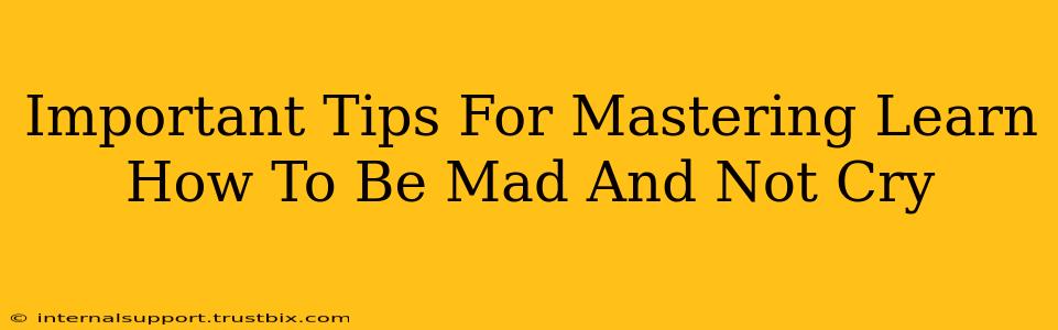 Important Tips For Mastering Learn How To Be Mad And Not Cry