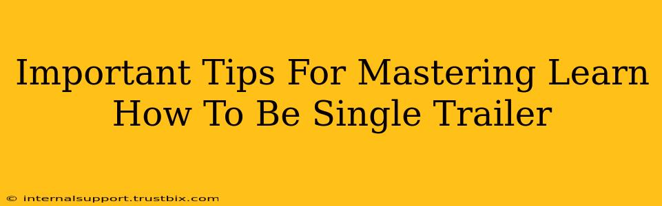 Important Tips For Mastering Learn How To Be Single Trailer