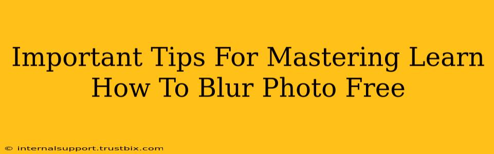 Important Tips For Mastering Learn How To Blur Photo Free