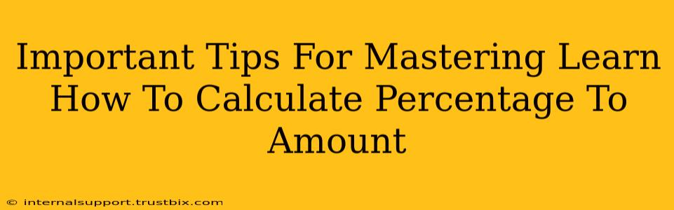 Important Tips For Mastering Learn How To Calculate Percentage To Amount