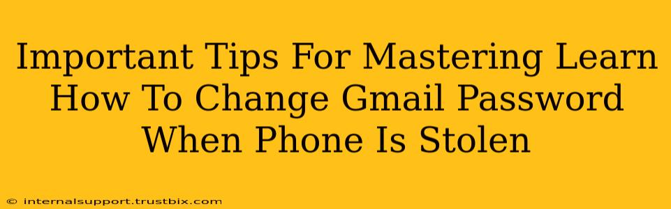 Important Tips For Mastering Learn How To Change Gmail Password When Phone Is Stolen