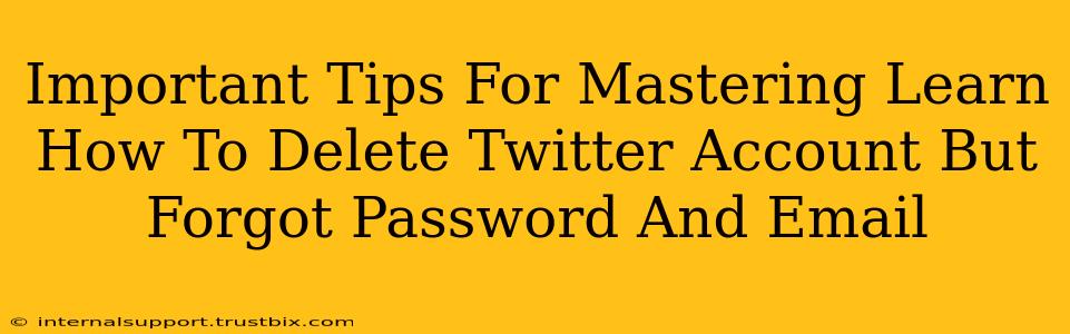 Important Tips For Mastering Learn How To Delete Twitter Account But Forgot Password And Email