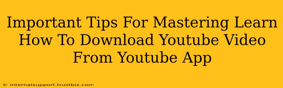 Important Tips For Mastering Learn How To Download Youtube Video From Youtube App