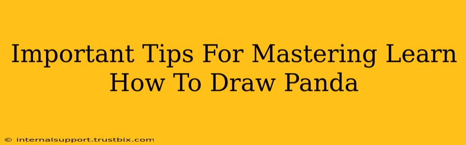 Important Tips For Mastering Learn How To Draw Panda