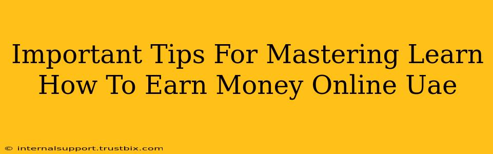 Important Tips For Mastering Learn How To Earn Money Online Uae