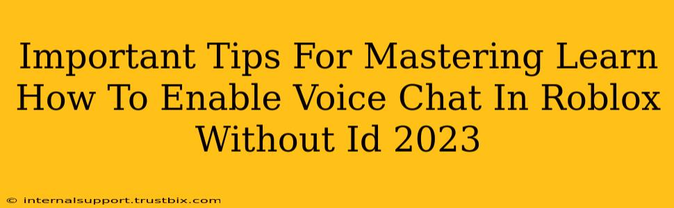 Important Tips For Mastering Learn How To Enable Voice Chat In Roblox Without Id 2023