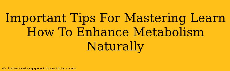 Important Tips For Mastering Learn How To Enhance Metabolism Naturally