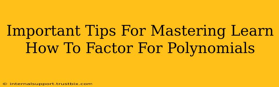 Important Tips For Mastering Learn How To Factor For Polynomials