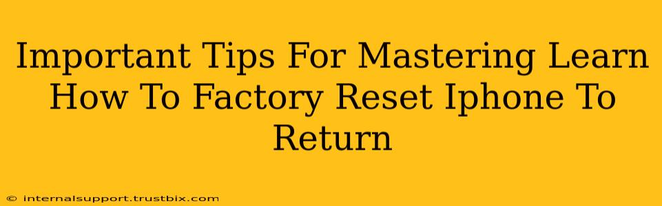 Important Tips For Mastering Learn How To Factory Reset Iphone To Return