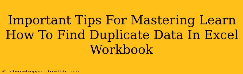 Important Tips For Mastering Learn How To Find Duplicate Data In Excel Workbook