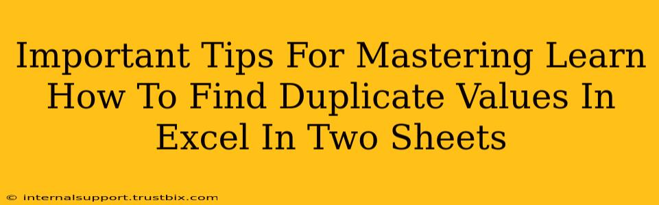 Important Tips For Mastering Learn How To Find Duplicate Values In Excel In Two Sheets