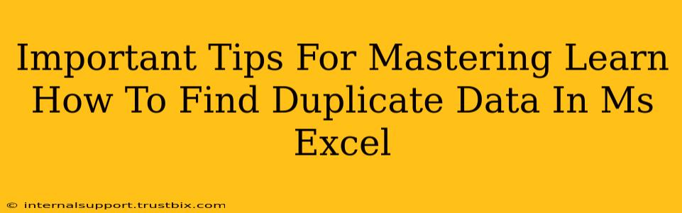 Important Tips For Mastering Learn How To Find Duplicate Data In Ms Excel