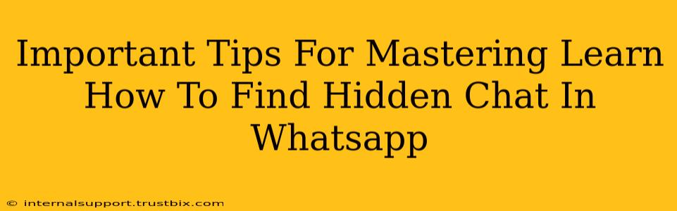 Important Tips For Mastering Learn How To Find Hidden Chat In Whatsapp