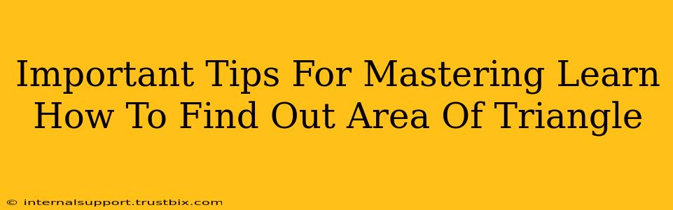 Important Tips For Mastering Learn How To Find Out Area Of Triangle