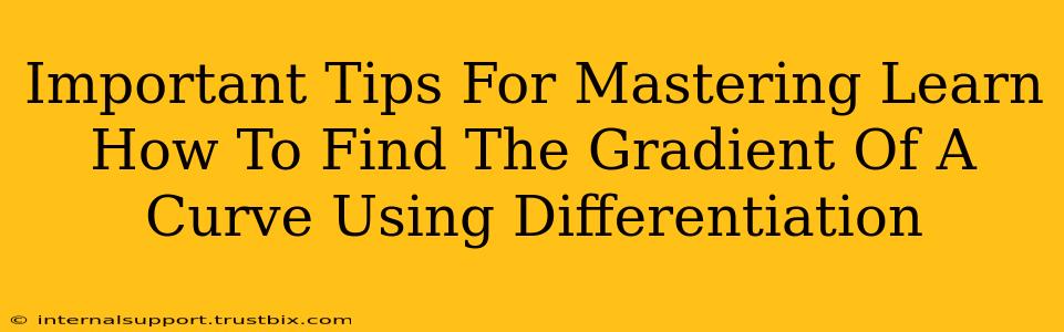 Important Tips For Mastering Learn How To Find The Gradient Of A Curve Using Differentiation