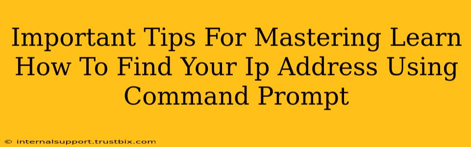 Important Tips For Mastering Learn How To Find Your Ip Address Using Command Prompt