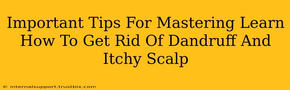 Important Tips For Mastering Learn How To Get Rid Of Dandruff And Itchy Scalp