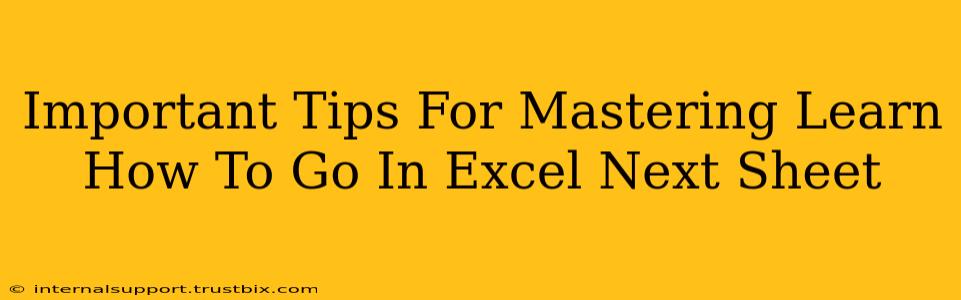 Important Tips For Mastering Learn How To Go In Excel Next Sheet