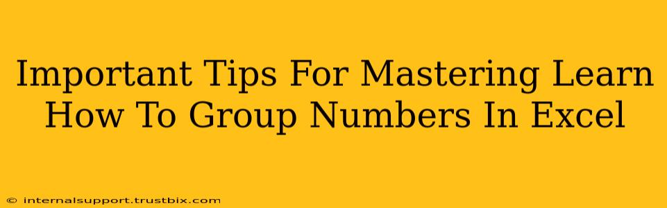 Important Tips For Mastering Learn How To Group Numbers In Excel