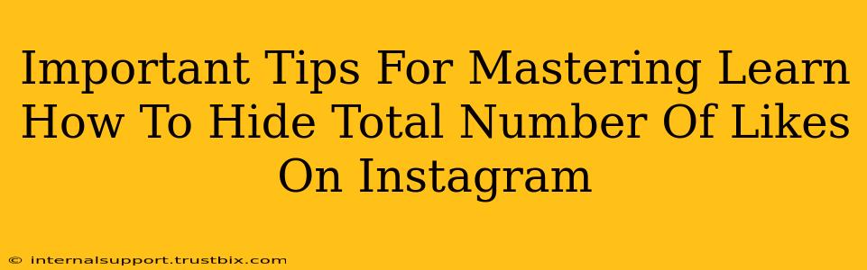 Important Tips For Mastering Learn How To Hide Total Number Of Likes On Instagram