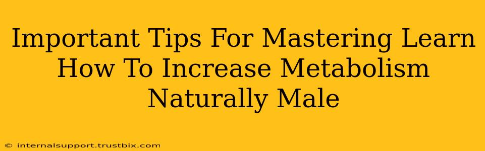 Important Tips For Mastering Learn How To Increase Metabolism Naturally Male