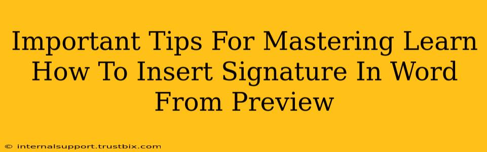 Important Tips For Mastering Learn How To Insert Signature In Word From Preview