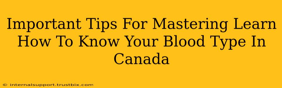 Important Tips For Mastering Learn How To Know Your Blood Type In Canada