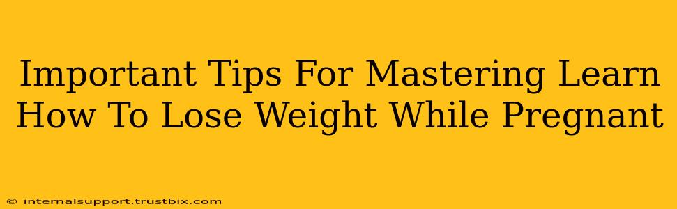 Important Tips For Mastering Learn How To Lose Weight While Pregnant