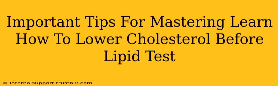 Important Tips For Mastering Learn How To Lower Cholesterol Before Lipid Test